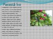Presentations 'Indīgie augi Latvijā', 3.