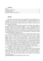 Research Papers 'Etnoss jeb etniskā piederība - nozīmīgs socializācijas faktors', 3.