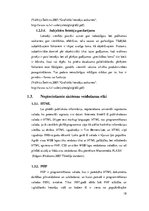 Term Papers 'Vienota WEB saskarne Valmieras pilsētas pašvaldības iekšējām sistēmām', 18.