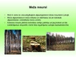 Presentations 'Atjaunojamie dabas resursi', 2.