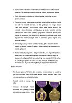 Research Papers 'Violetā krāsa', 11.