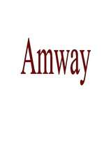 Research Papers 'Amway', 1.
