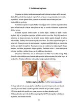 Research Papers 'Bērni ar dzirdes traucējumiem un to rehabilitācija ar kohleāro implantu', 12.