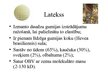 Presentations 'Lateksa alerģija', 3.