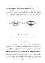 Term Papers 'Herkonu dinamikas un magnētiskā lauka pētījumi', 14.