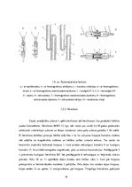 Term Papers 'Herkonu dinamikas un magnētiskā lauka pētījumi', 16.