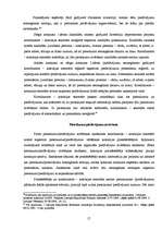 Research Papers 'Iepirkuma process Latvijas Republikas Satiksmes ministrijā', 17.