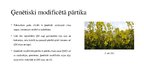 Presentations 'Ģenētiski modificētā pārtika', 4.