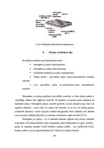 Term Papers 'Fotoelektrisko enerģijas avotu klasifikācija un pielietojums Latvijā', 29.