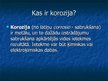 Presentations 'Korozija', 3.