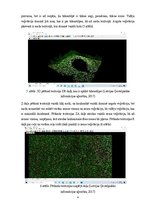 Samples 'LiDAR datu izmantošana teritorijas izpētei', 4.