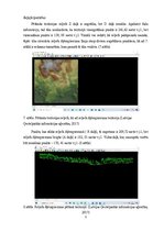 Samples 'LiDAR datu izmantošana teritorijas izpētei', 5.