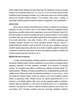 Essays 'Mediācija', 3.