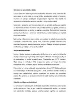 Essays 'Cilvēktiesības, tendences Latvijā un pasaulē', 3.