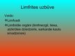 Presentations 'Asinsrites un limfrites orgānu sistēma', 12.