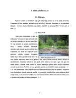 Research Papers 'Bebru ietekme uz ekosistēmu Smiltenē', 8.