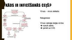 Presentations 'Ērču encefalīta diagnostikas principi', 3.