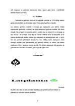 Research Papers 'Konkurētspējas noteikšana SIA "Latplantas" garšvielām', 6.