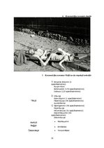 Research Papers 'Nacistu koncentrācijas nometnes', 16.