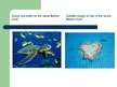 Presentations 'The Great Barrier Reef', 8.