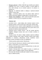 Term Papers 'Biroja darba organizācija Krievijas - Latvijas uzņēmumā "Veleks"', 27.