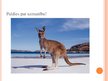 Presentations 'Austrālijas ievērojamākās tūrisma vietas', 15.