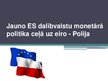 Presentations 'Jauno Eiropas Savienības dalībvalstu monetārā politika ceļā uz eiro. Polija', 1.