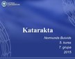 Presentations 'Katarakta', 1.