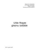 Essays 'Ulda Rogas gleznu izstāde', 1.