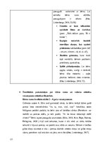 Summaries, Notes 'Bērna runas attīstības un valodas apguves izvērtējums (3 – 4,6 gadi)', 13.
