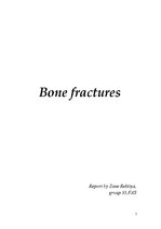 Research Papers 'Bone Fractures', 1.