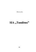 Business Plans 'SIA "Tandēms"', 1.