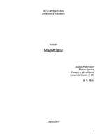 Research Papers 'Magnētisms un tā īpašības', 1.