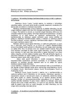 Essays 'Mediācija', 1.