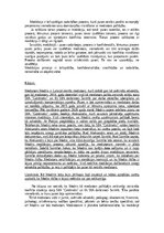 Essays 'Mediācija', 3.