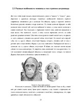 Research Papers 'Происхождение человеческих рас и их распространение', 25.