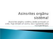 Presentations 'Asinsrites orgānu sistēma', 2.