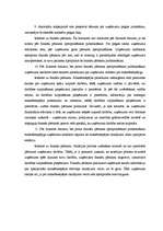 Research Papers 'Grāmatvedības bilance, tās informatīvais saturs un analītiskās īpašības', 20.
