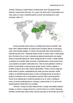 Research Papers 'Dzimumu līdztiesība musulmaņu valstīs', 2.