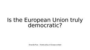 Presentations 'Is EU truly democratic', 1.
