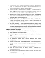 Term Papers 'Reklāmas internetā attīstība Latvijas tirgū', 88.
