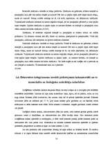 Research Papers 'Māju dekoratīvie elementi Rēzeknes pilsētas vēsturiskajā apbūvē', 14.