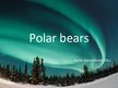 Presentations 'Polar Bears', 1.