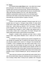 Research Papers 'Piekrastes pašvaldības pilotteritorijas ilgtspējīgas politikas un rīcības progra', 22.