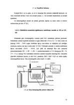 Term Papers 'Policiklisko aromātisko ogļūdeņražu noteikšana pārtikas eļļās ar gāzu hromatogrā', 32.