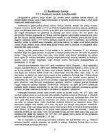 Research Papers 'Rusifikācijas ietekme un tās sekas latviešu valodā', 6.