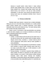Term Papers 'Komercbanku un nebanku iestāžu kredītdarbības analīze', 16.