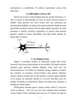 Summaries, Notes 'Neironu tīkli un to izmantošana (1.daļa)', 7.