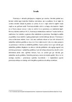 Research Papers 'Prostitūcija - indivīda vai sabiedrības problēma', 3.