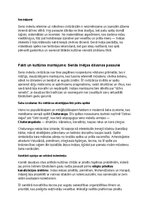 Summaries, Notes 'Seno indiešu vēsture, kultūra, mitoloģija, sabiedrība un kultūras mantojums', 35.